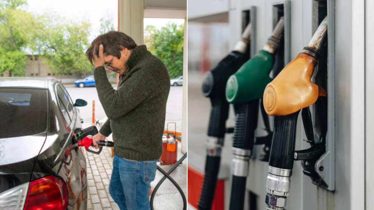 Gasolina