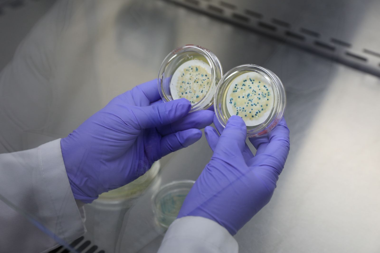 Estudio de bacterias resistentes a los antibióticos en el río Sumapaz.