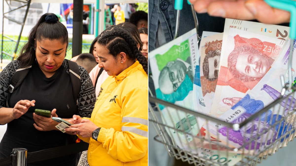 Ingreso Mínimo Garantizado