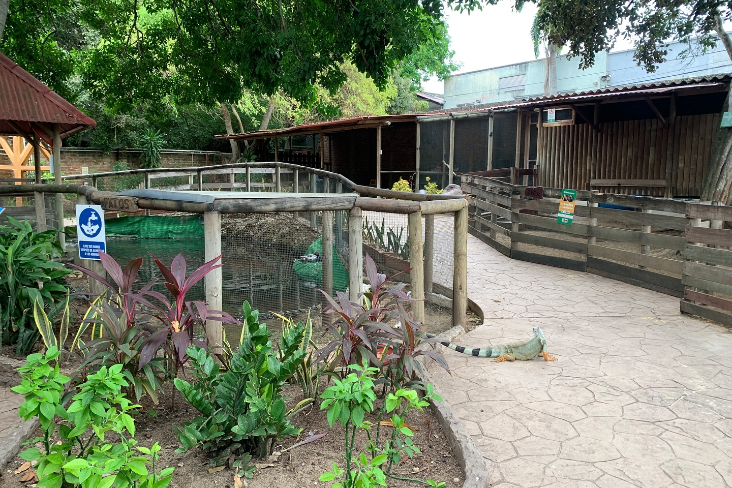 Zoológico de Barranquilla.