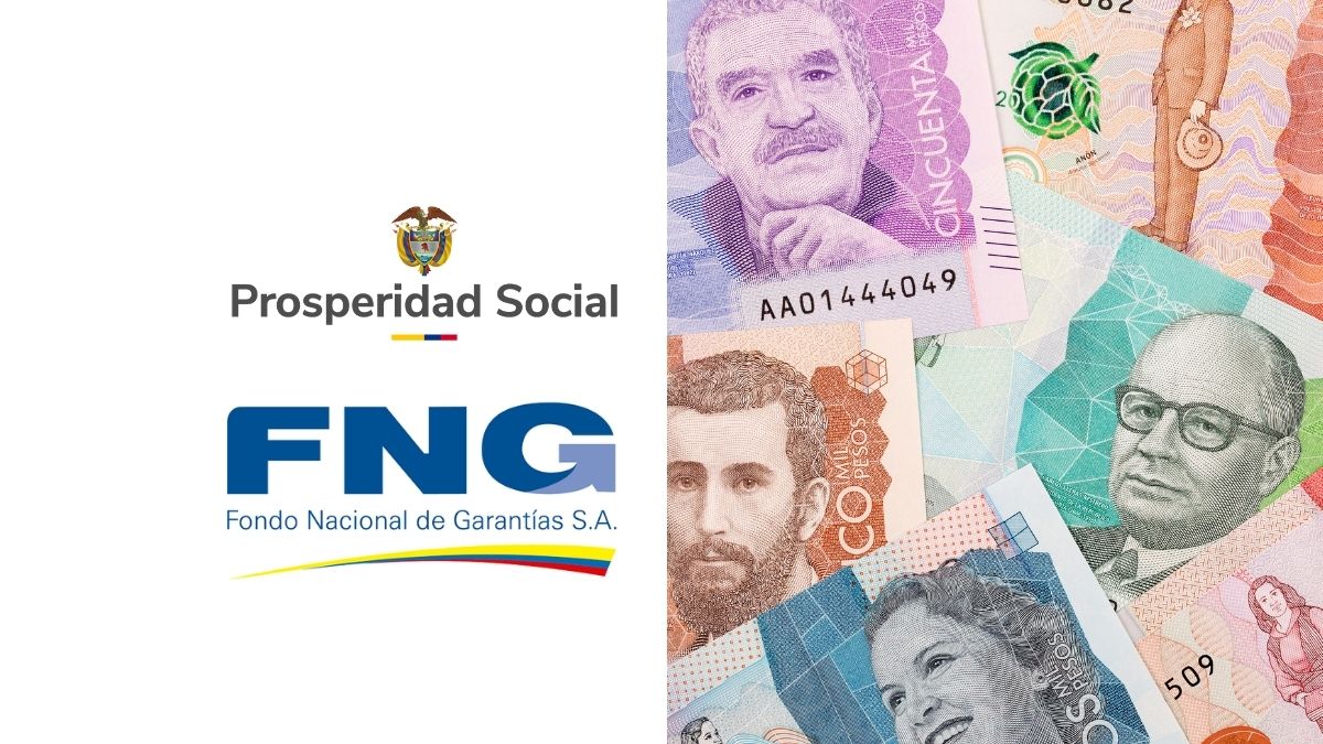 Canva, DPS y FNG