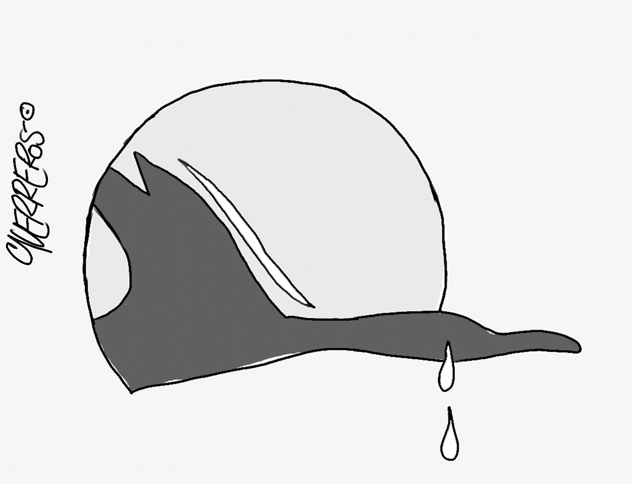Cayó avión de Satena - Caricatura de Guerreros