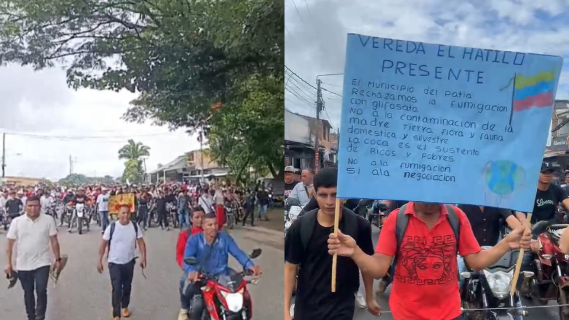 Más de 7.000 campesinos del sur del Cauca salieron a movilizarse en rechazo de la fumigación con glifosato.