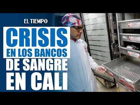 Un SOS envían los bancos de sangre de Cali por los casos de donantes que llegan a diario. En la Cruz Roja del Valle del Cauca, las neveras de almacenamiento se encuentran vacías, por lo que le piden a la comunidad, donar regularmente y no esperar que algún familiar o conocido la necesite, ya que con una sola donación se pueden salvar hasta tres vidas.     #ElTiempo #NoticiasColombia #ÚltimaHora#Cali #DonaciónDeSangre #SaludPública #CruzRojaValle #SOS #Vida #ValleDelCauca #Solidaridad #Urgente #Medicina SUSCRÍBETE: https://bit.ly/eltiempoYT Síguenos en nuestras redes sociales: X: https://twitter.com/eltiempo Facebook: https://www.facebook.com/eltiempo Instagram: https://www.instagram.com/eltiempo El Tiempo es el medio líder de noticias en Colombia, caracterizado por sus investigaciones y reportajes exclusivos, sobre: justicia, deportes, economía, política, cultura, tecnología, innovación, cambio climático, entre otros eventos noticiosos en Colombia y el mundo.    Para mayor información ingresa a: https://www.eltiempo.com Otros canales de El Tiempo Citytv: https://www.youtube.com/c/citytvbogota Bravíssimo Citytv: https://www.youtube.com/c/BRAVISSIMOCITYTV Portafolio: https://www.youtube.com/user/PortafolioCO Futbolred: https://www.youtube.com/c/FutbolRedCO