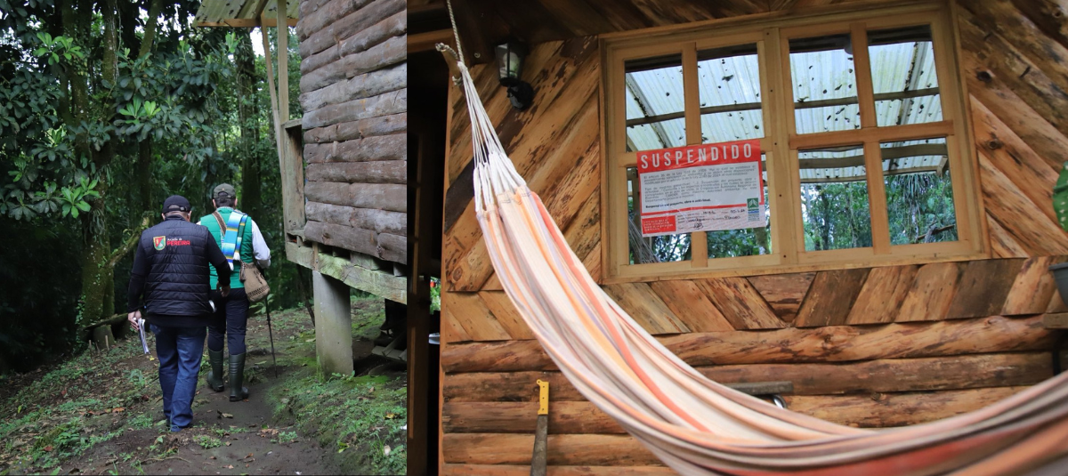 Carder Barbas–Bremen en Pereira