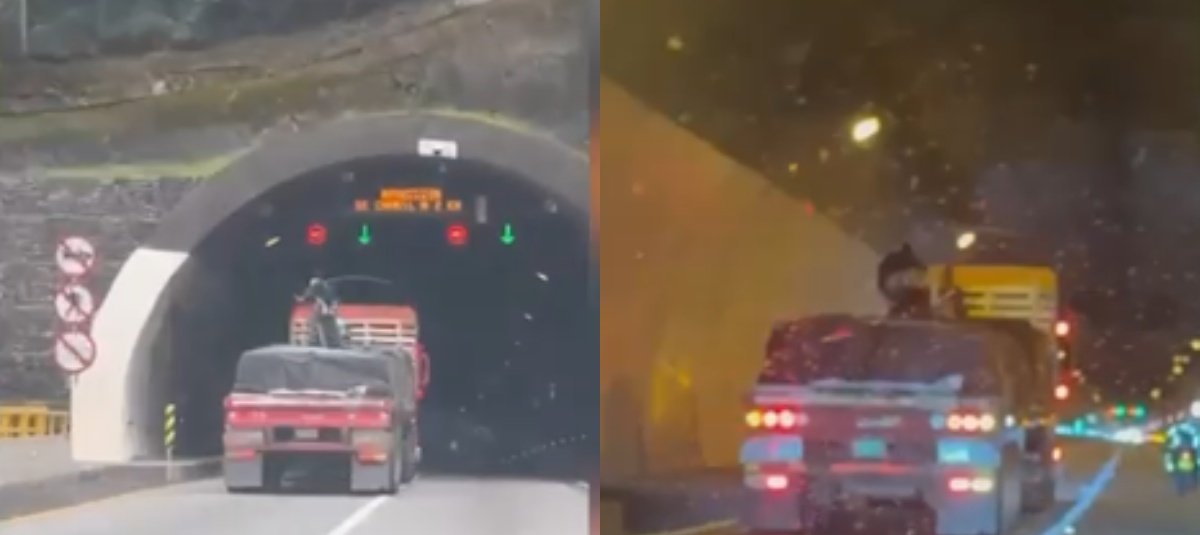 Los tres menores de 15 y 16 años fueron imputados por el homicidio y hurto de polizón que se movilizaba en un tractocamión en Cundinamarca.