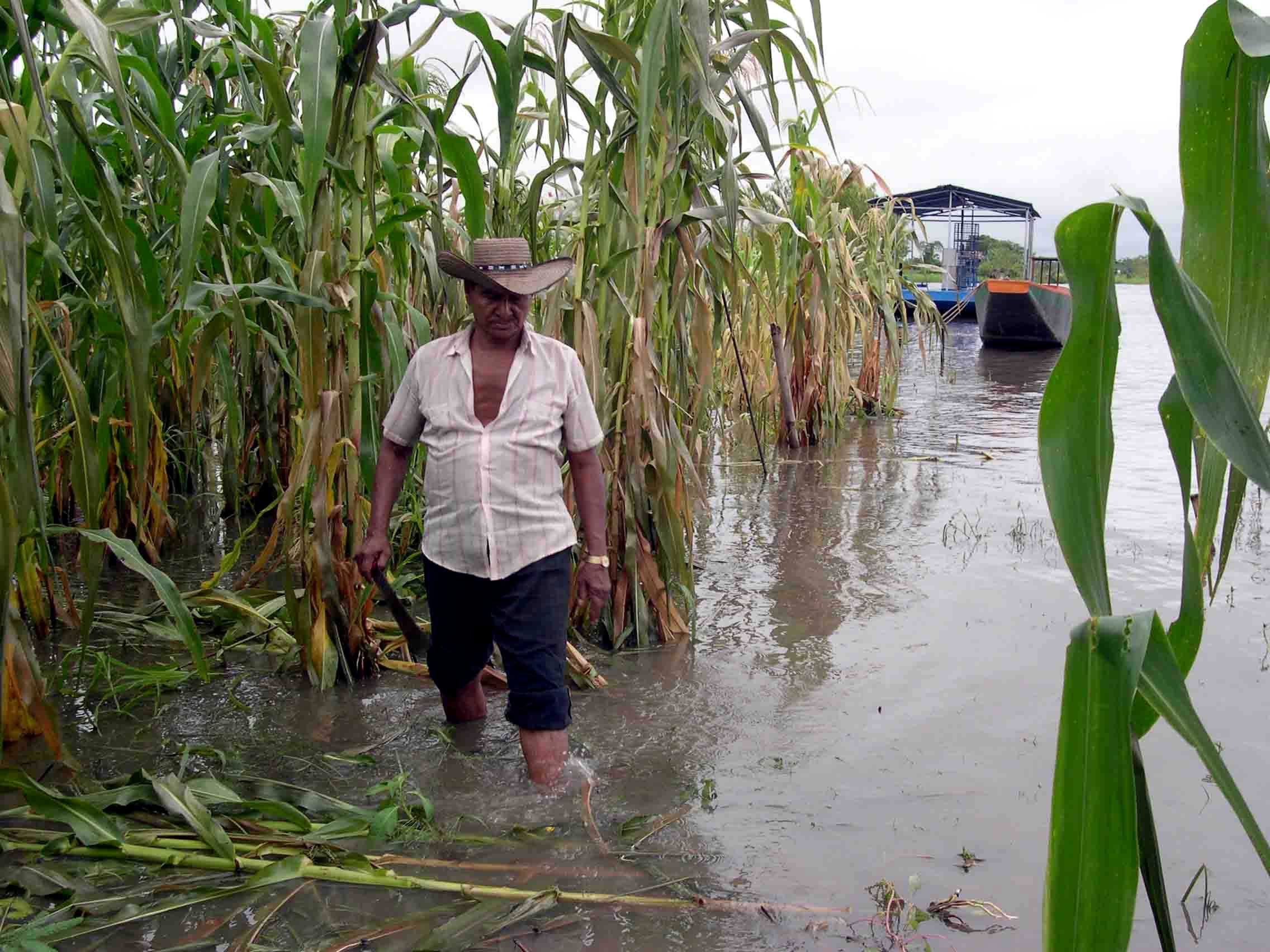 Varios cultivos han sido afectados por las lluvias