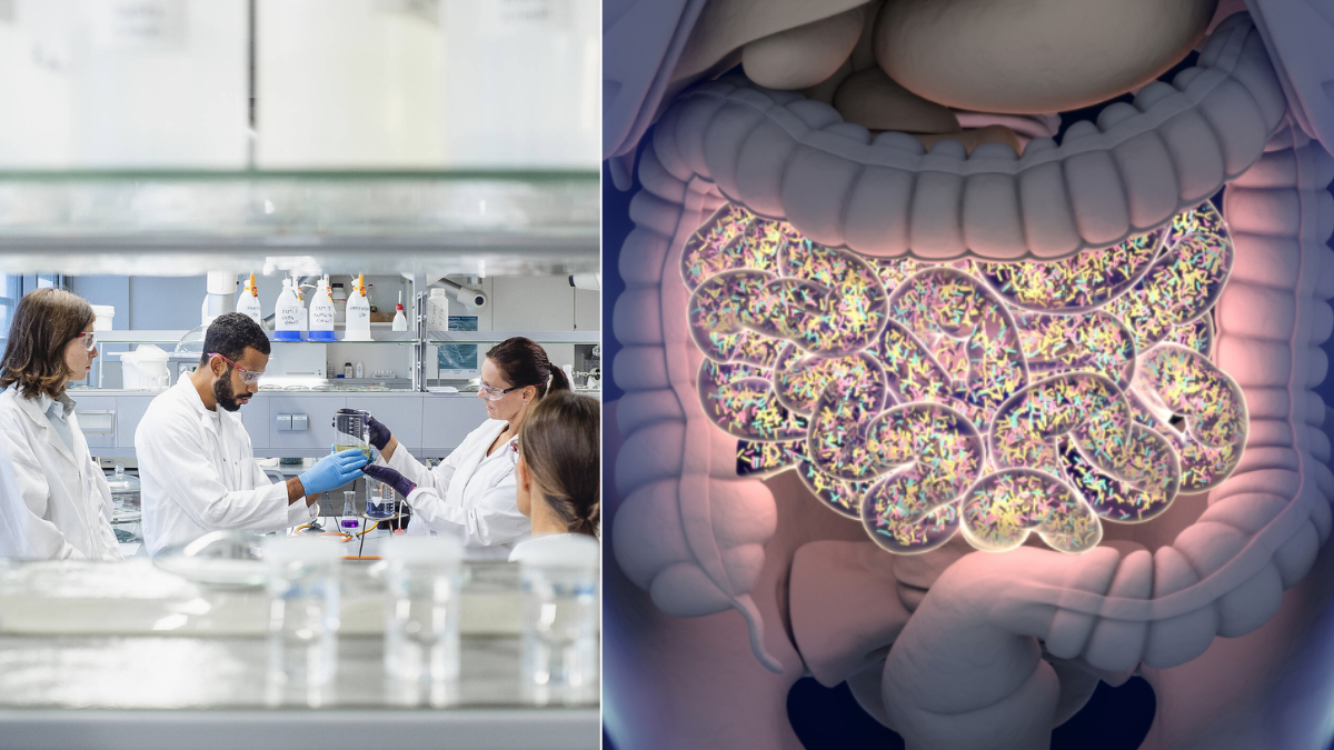 Microbiote intestinal