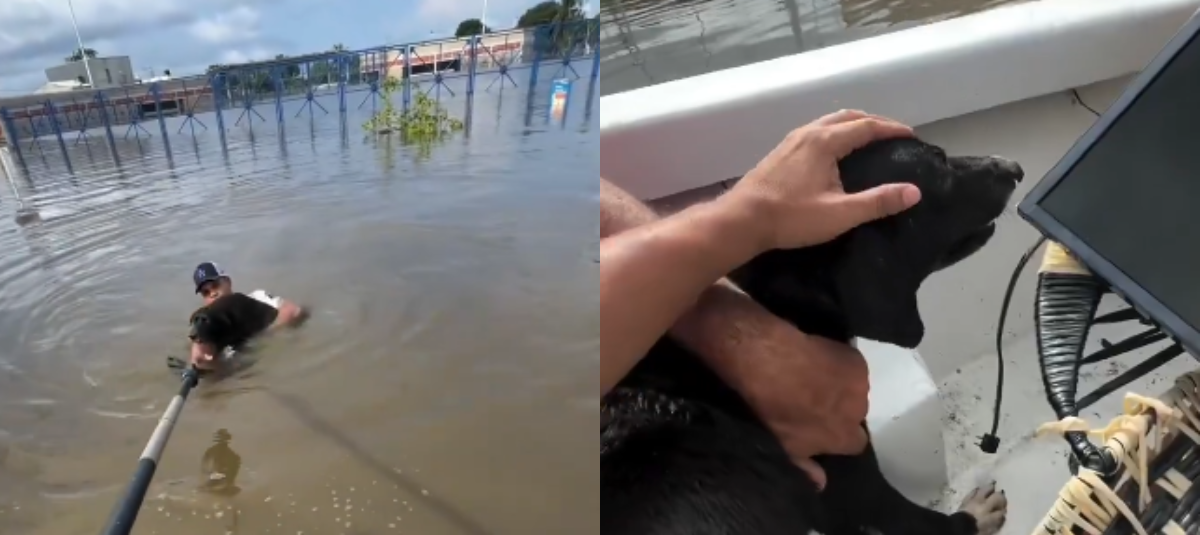 Vídeo en medio de la tragedia de Córdoba.