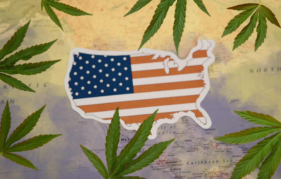 Collage Marihuana / cannabis / Estados Unidos