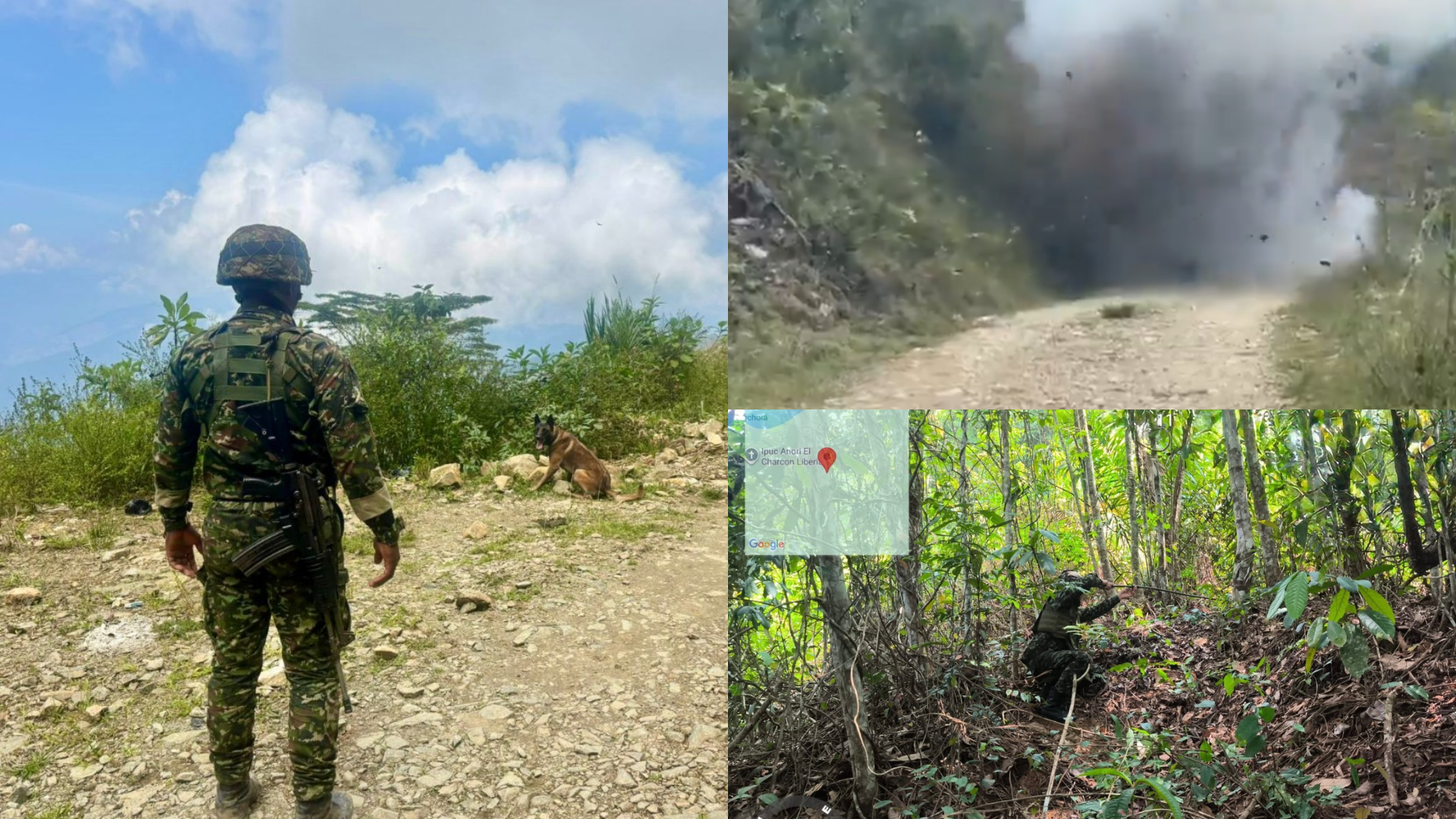 El Ejército Nacional desactivó ocho artefactos explosivos en la zona rural del Norte y el Nordeste de Antioquia en 11 días.