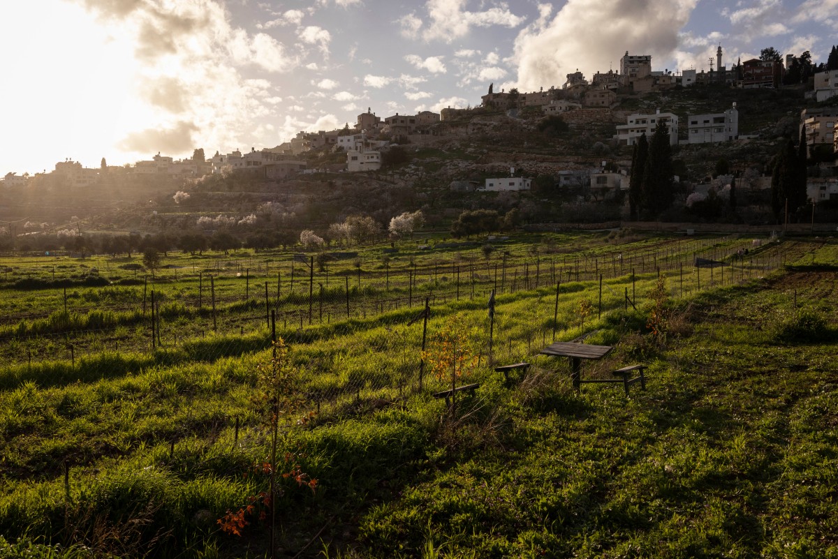 Esta fotografía muestra tierras agrícolas en la aldea palestina de Al-Lubban ash-Sharqiya, en Cisjordania ocupada por Israel.