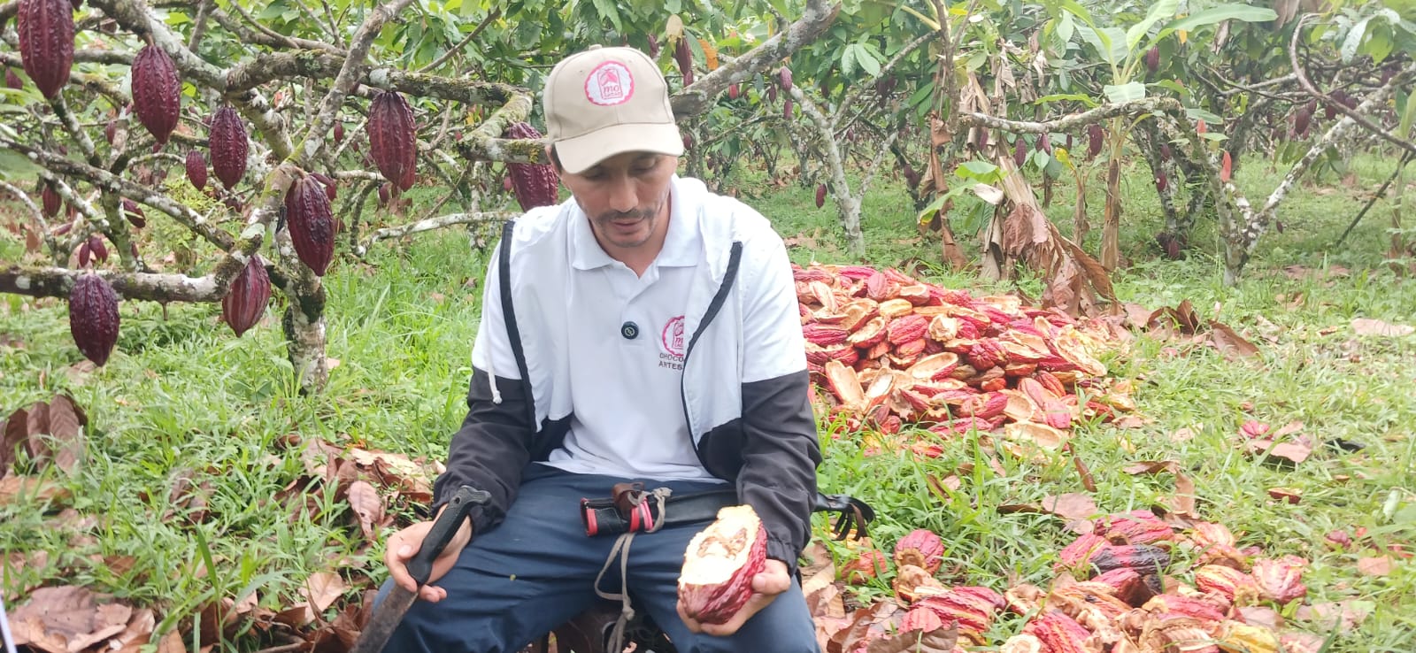 David Ricardo Molina, uno de los campesinos que siembra cacao y palma de aceite donde antes hubo coca.