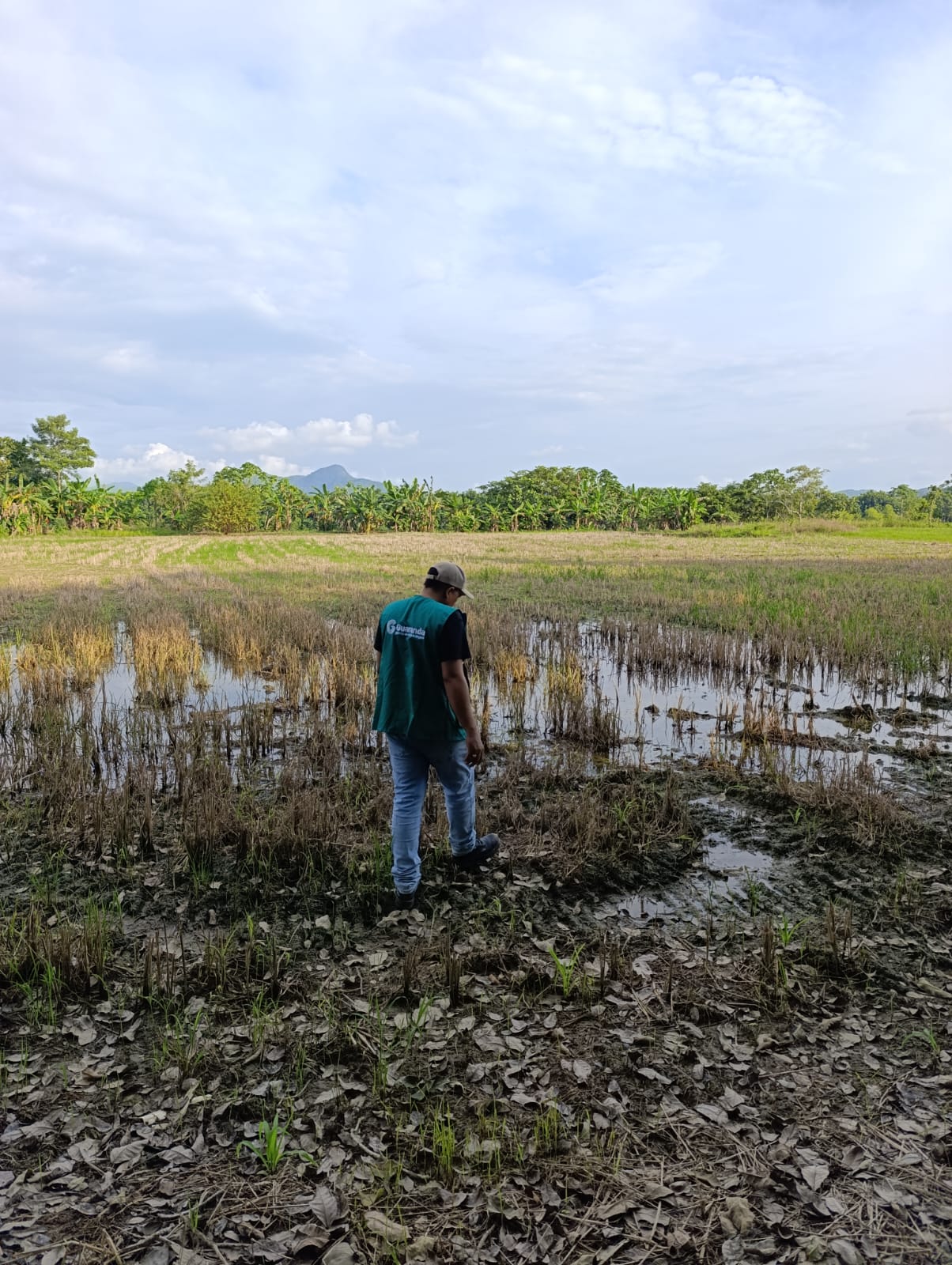 Afectaciones en la Mojana