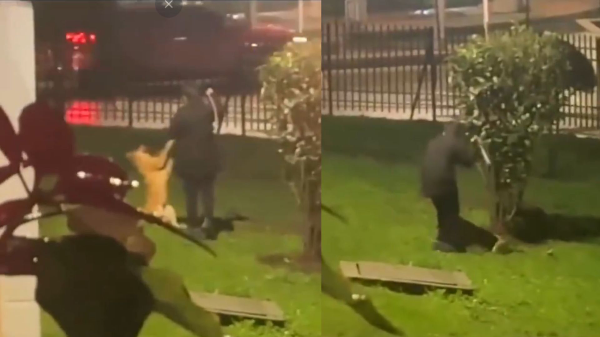 Maltrato animal en Engativá.