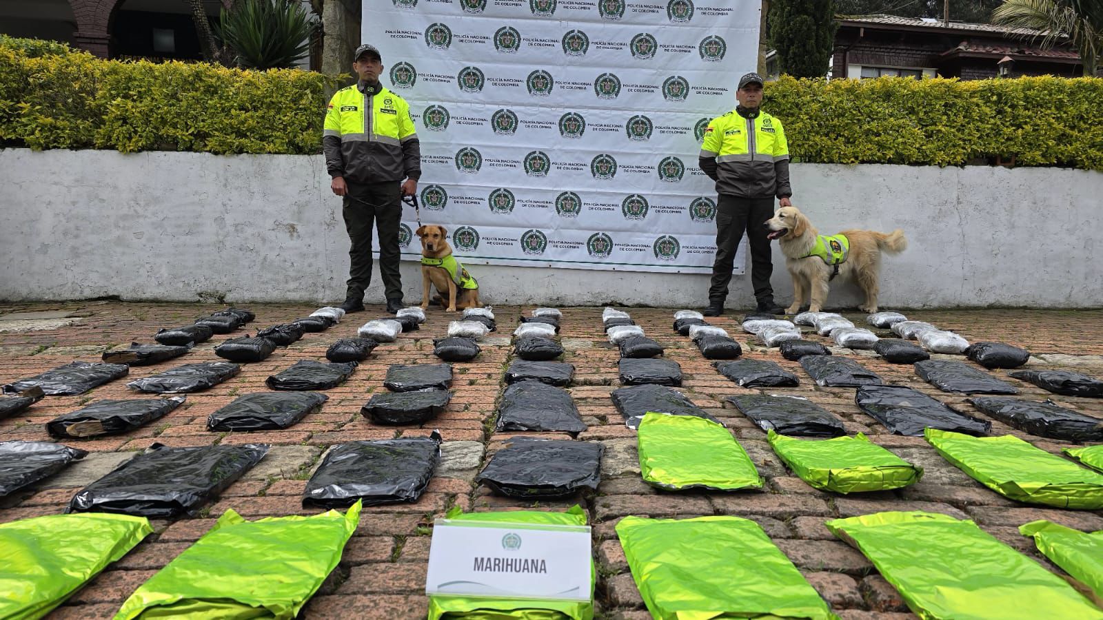 Marihuana incautada