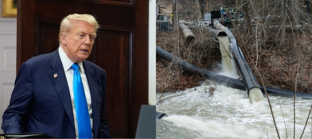 Trump declaración de emergencia