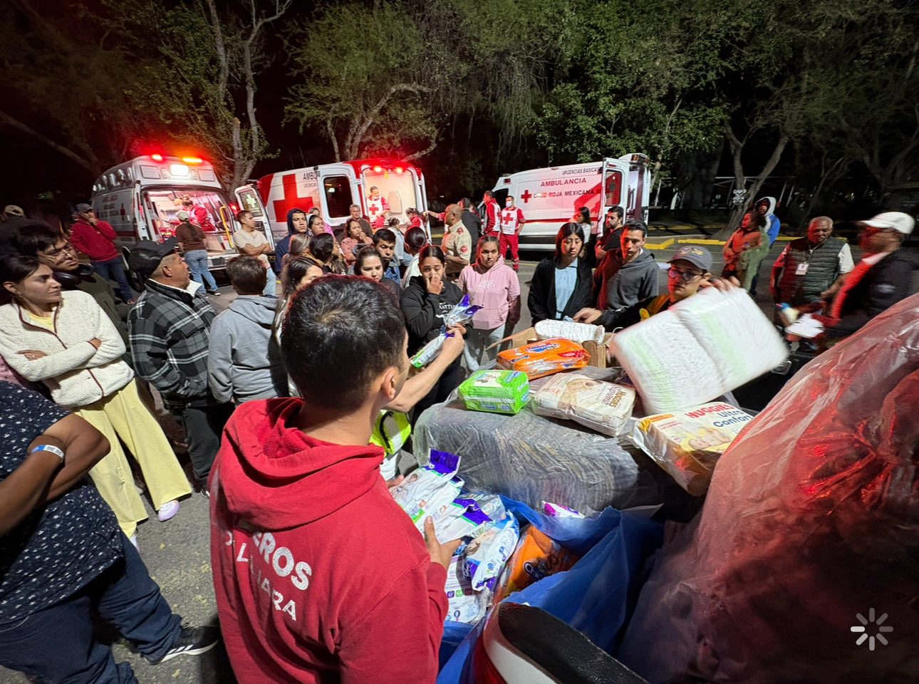 Turistas varados en el Zoológico Guadalajara, México, tras la muerte de alias El Mencho