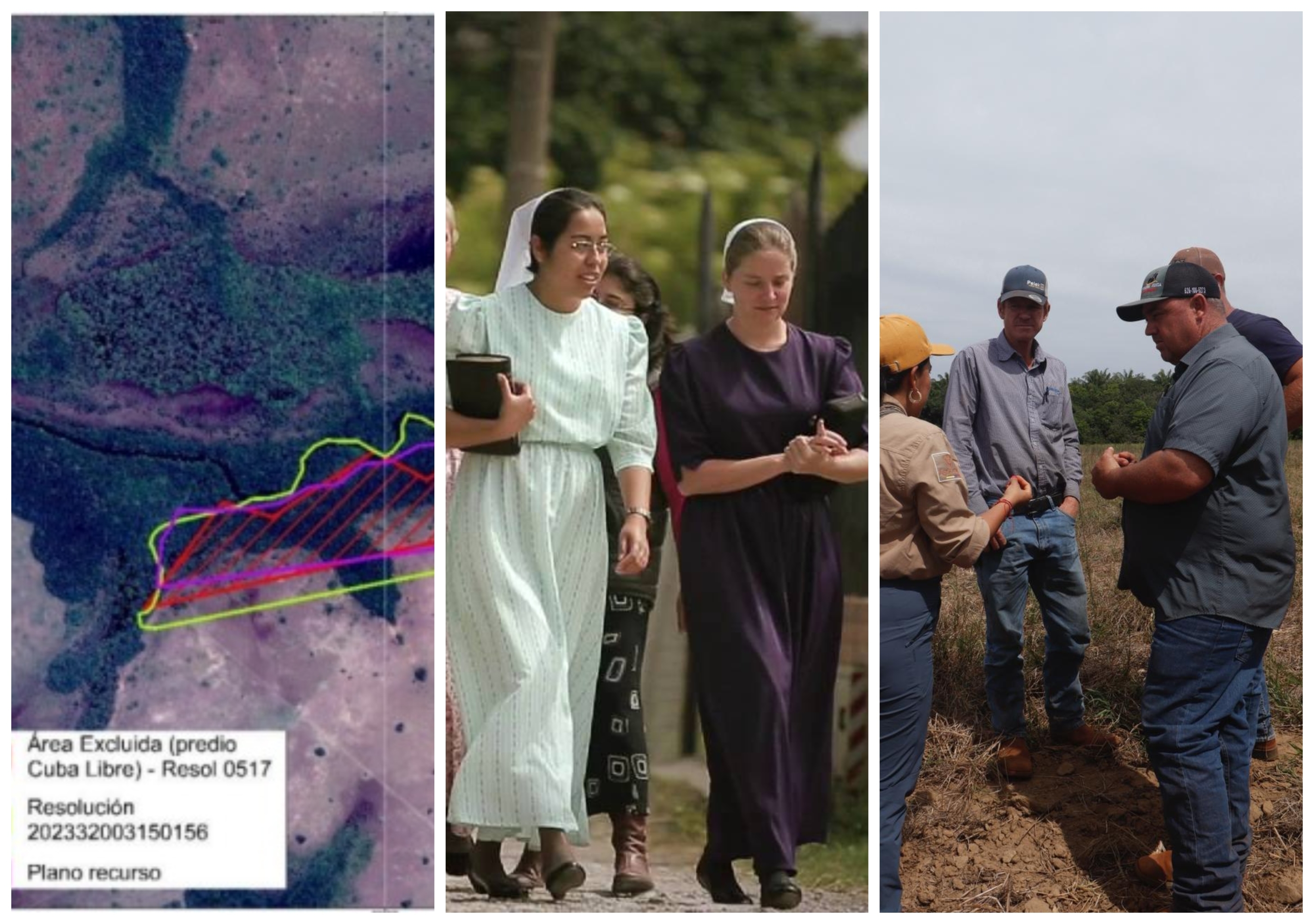 Imágenes de referencia de la comunidad menonita y del predio