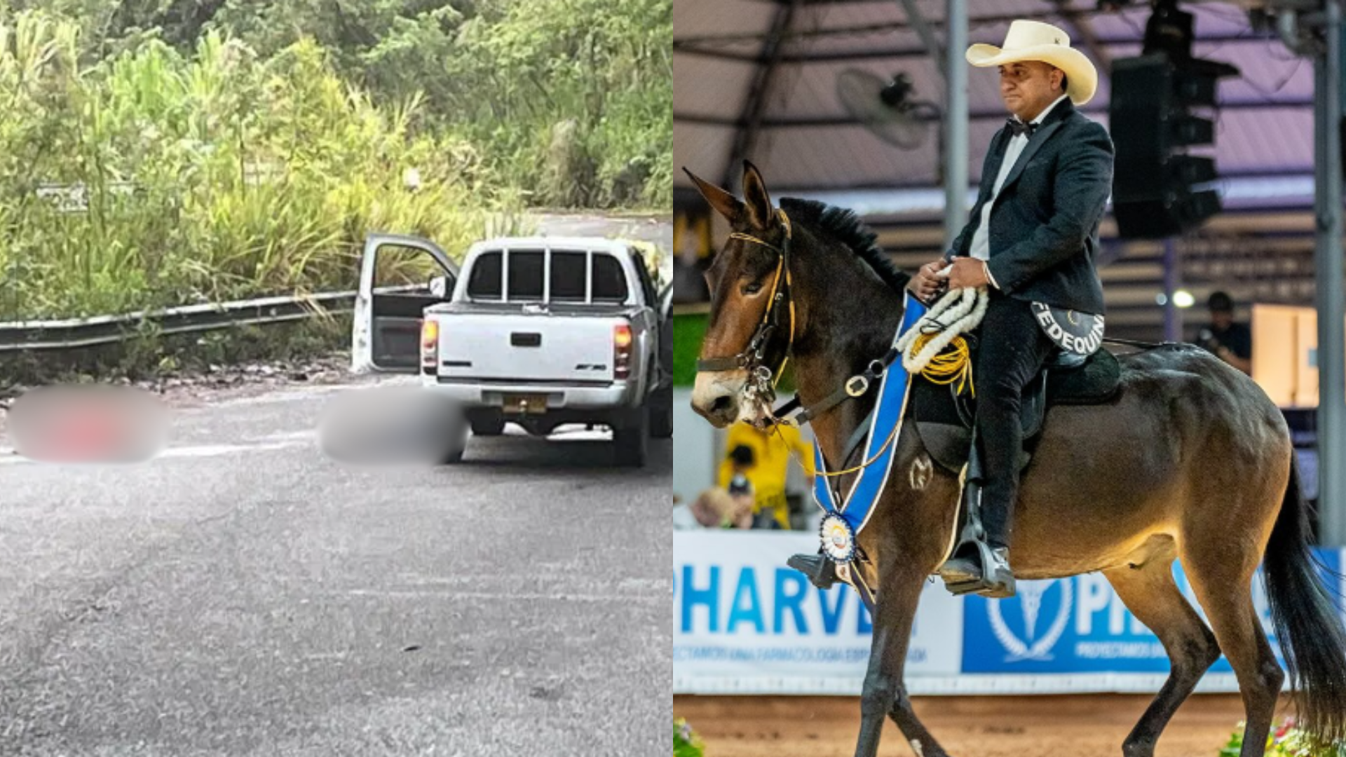 El mejor montador de mulas de Colombia fue una de las víctimas de la masacre de Titiribí. Dos de sus trabajadores fueron las otras víctimas.