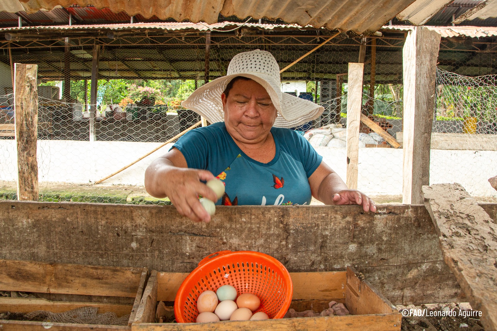 Productora de agricultura familiar de la Red de Abastecimiento de Alimentos del Meta, en Colombia.