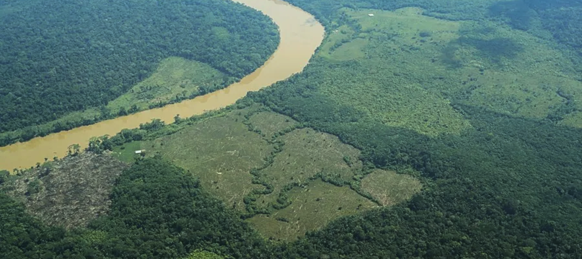 Deforestación Amazonía