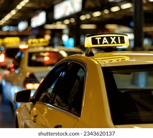 Meta Court, yasama seçimlerine ve parti istişarelerine 5 gün kala Guaviare'de iddia edilen oy yaylacılığını durdurdu