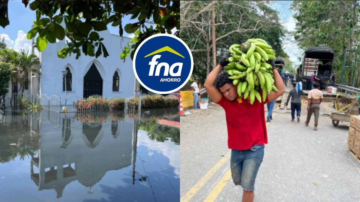 John Montaño/ EL TIEMPO y FNA