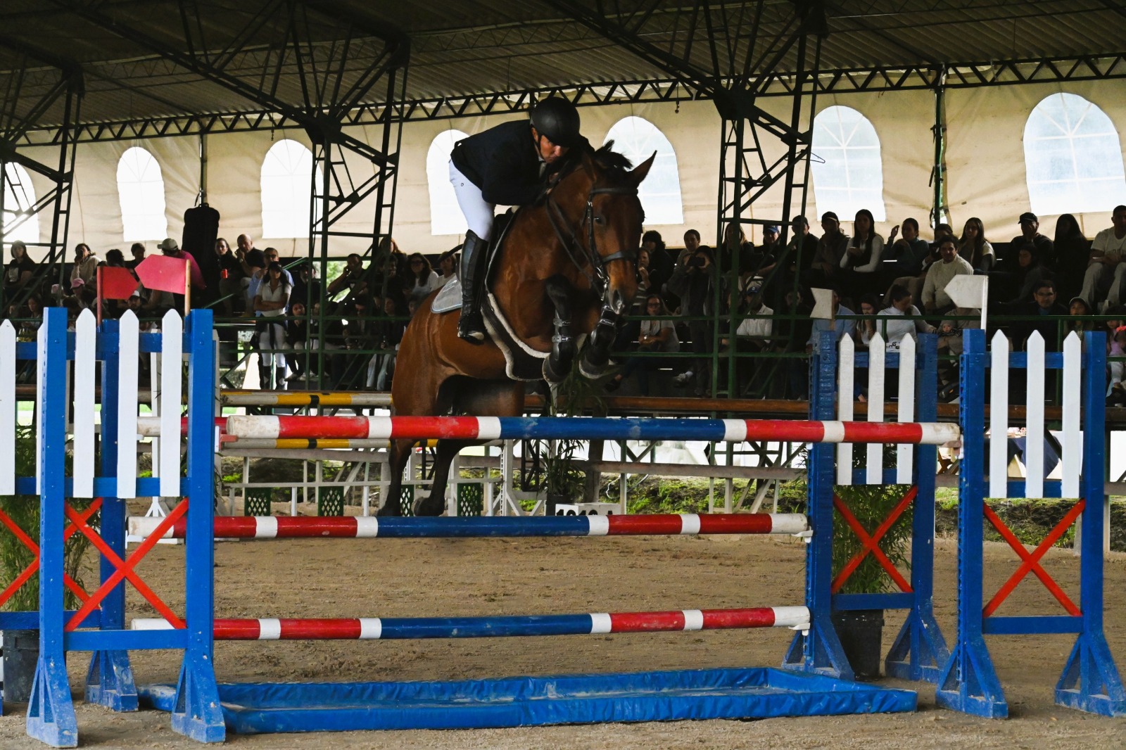 Concurso Ecuestre Nacional
