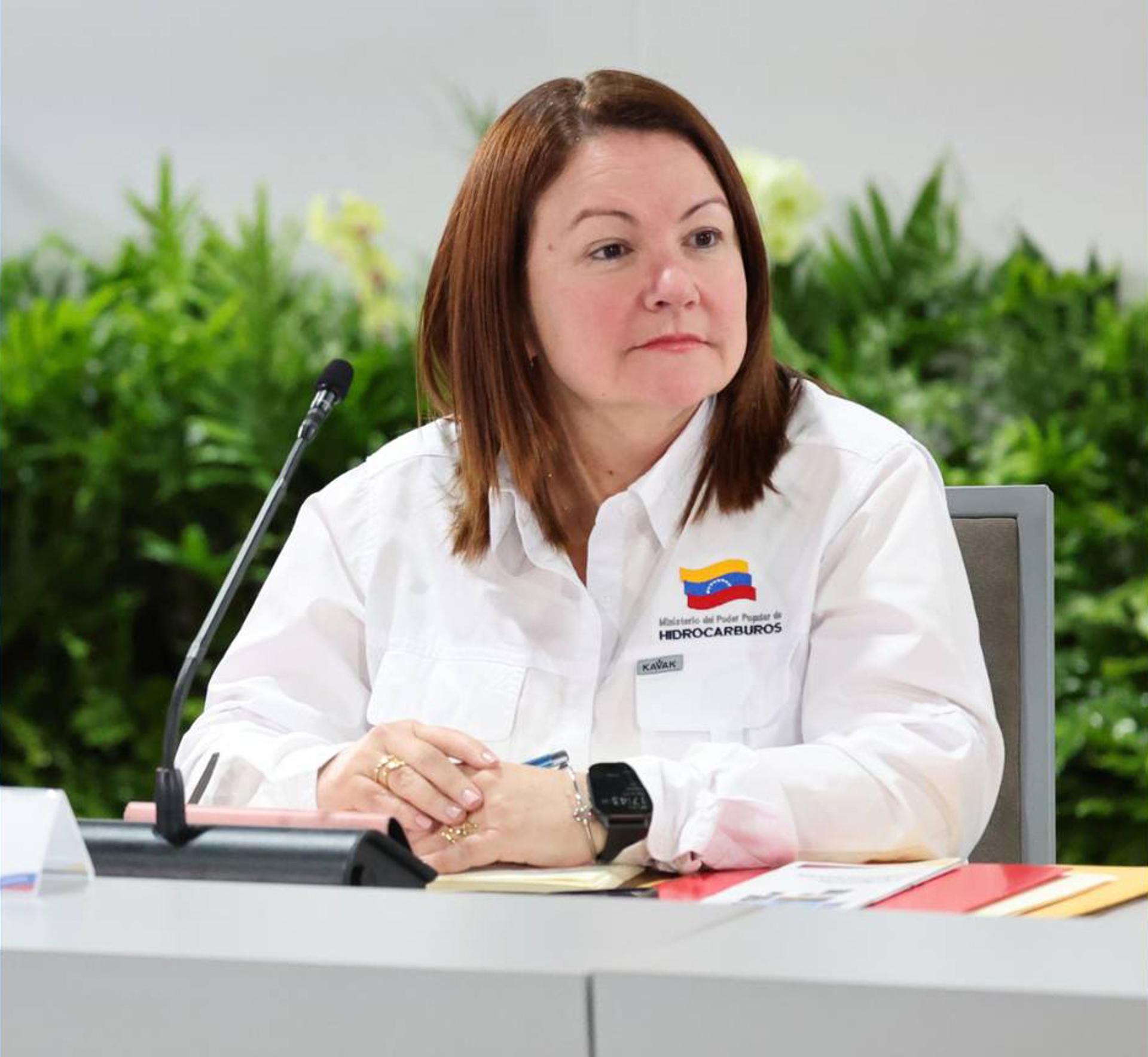 Nueva ministra de Hidrocarburos de Venezuela, Paula Henao