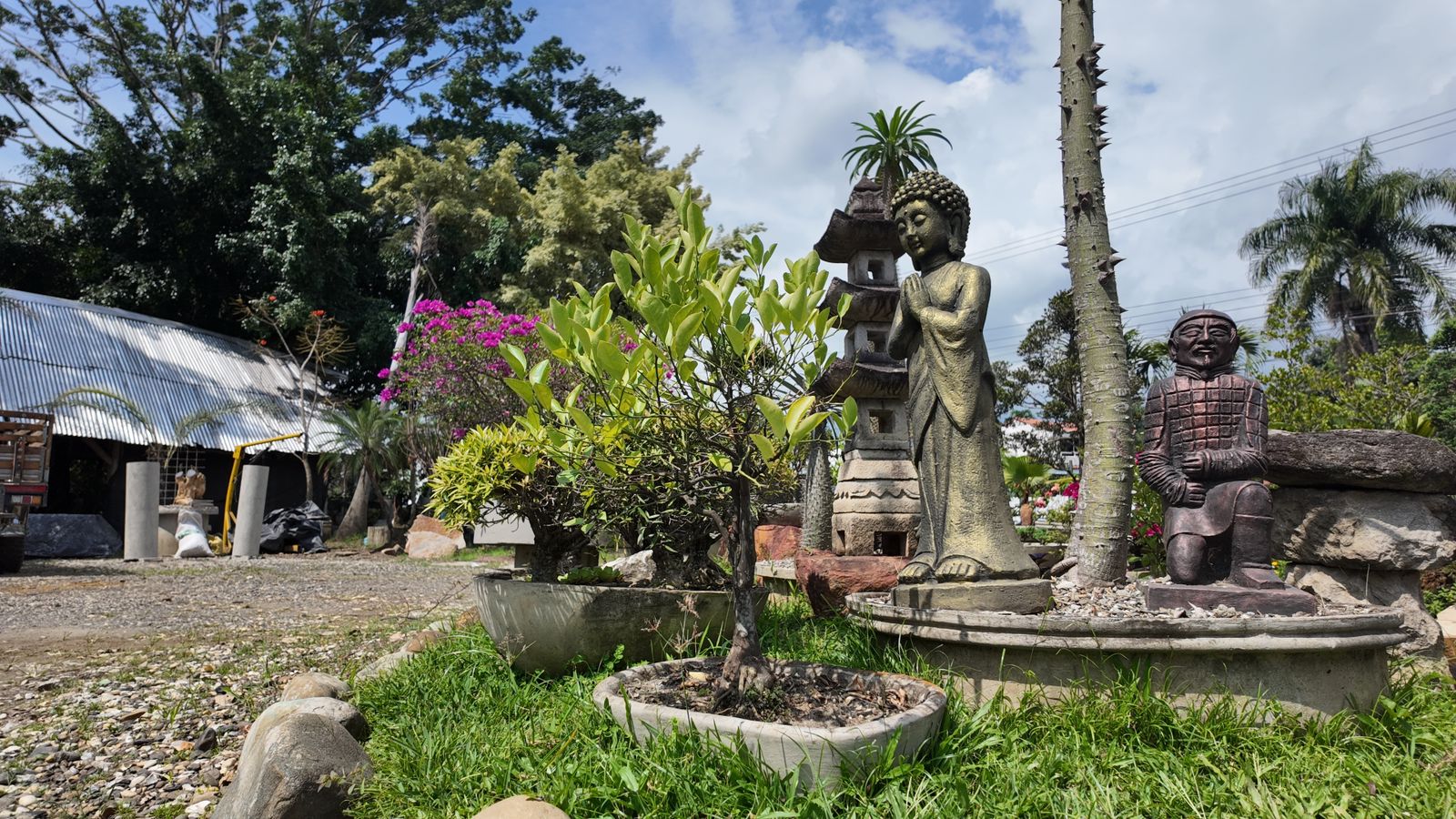 Cali'nin güneyinde SAE tarafından kurtarılan devasa mülk.