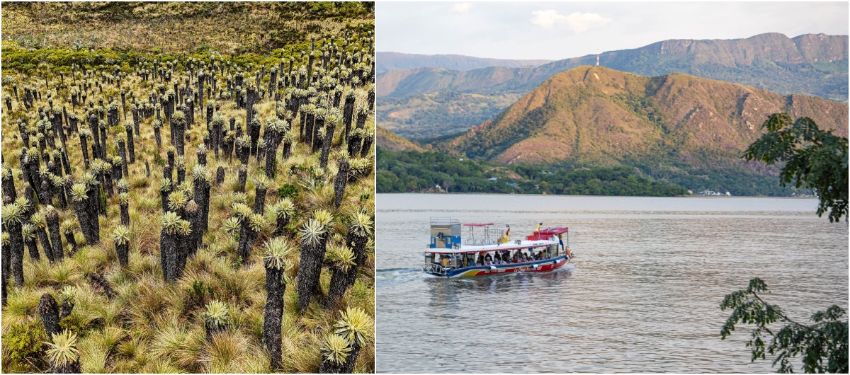 Tolima, Kolombiya'nın en turistik bölgeleri arasında 'İlk 5'te yer alıyor.