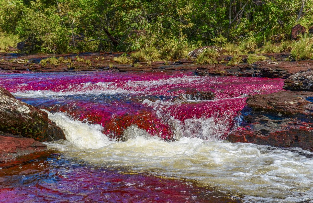 Caño Cristales