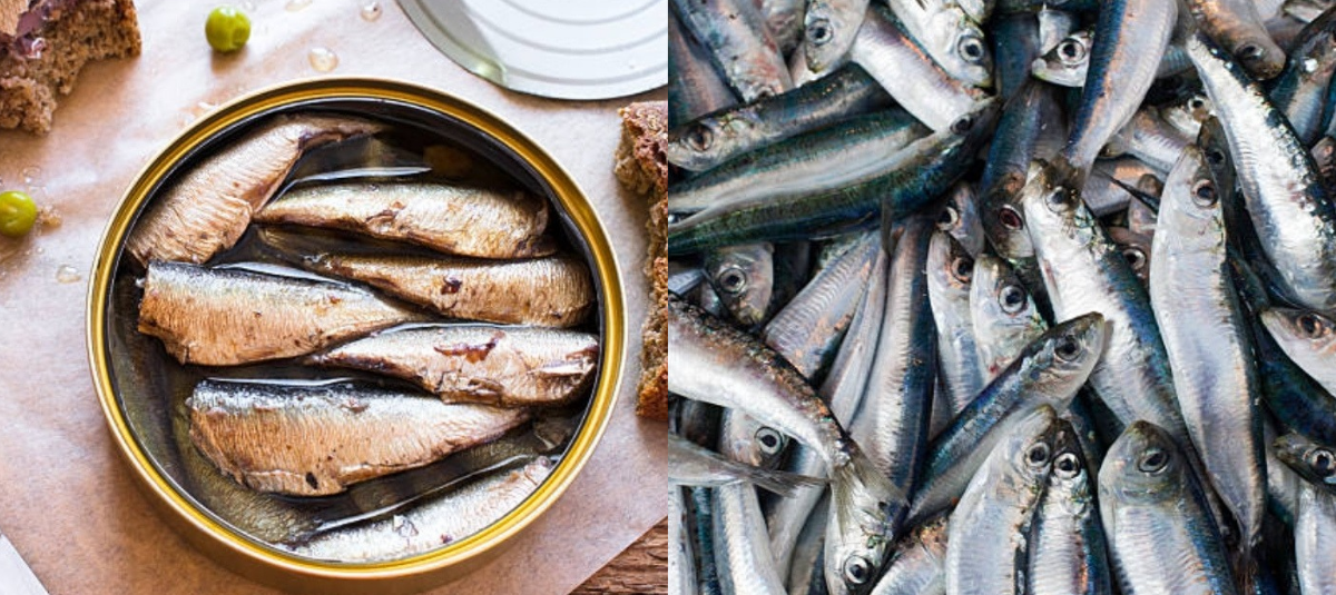 este alimento destaca por su aporte integral de macro y micronutrientes