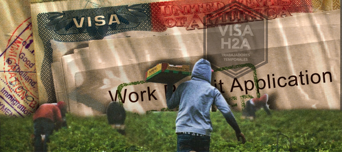 Visa de trabajo temporal h2A en Estados Unidos