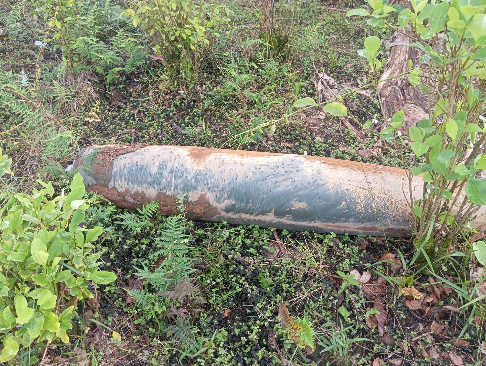 Estas son las fotos de la bomba denunciada por el presidente Petro, encontrada en la frontera con Ecuador
