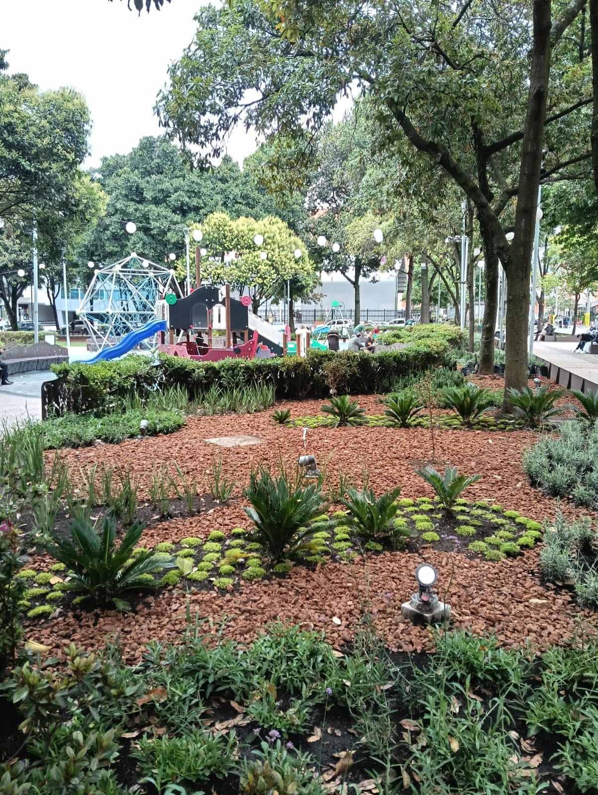 Intervención en el Parque 93 incluye la siembra de 5.680 plantas nativas en nueve tipos de jardines.