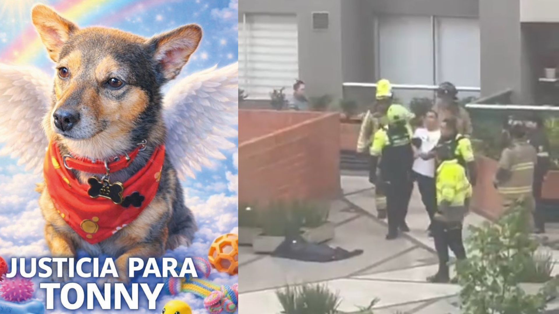 Tonny y el responsable de su muerte.