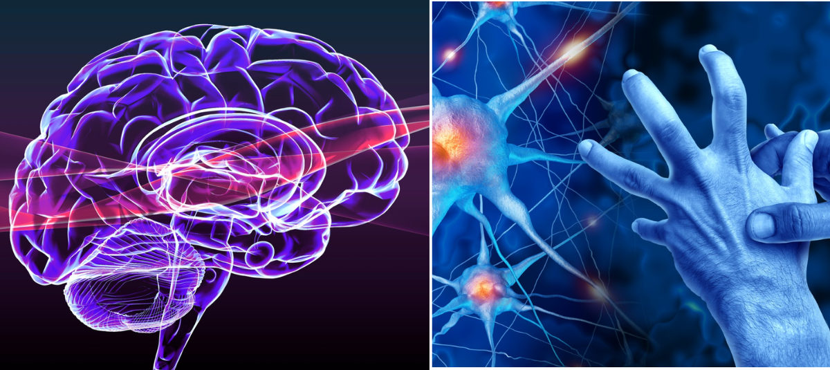 Cerebro que nunca falle.