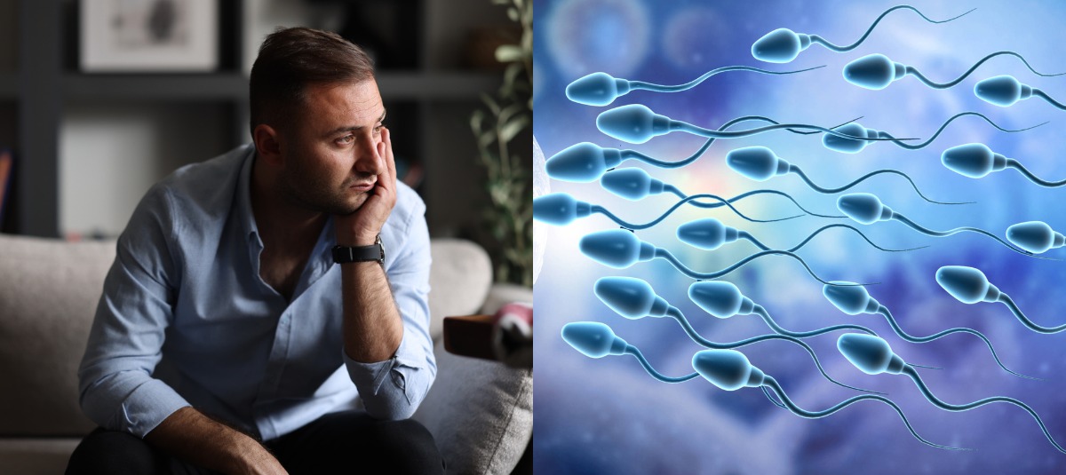 Estudio analiza fertilidad y calidad del esperma