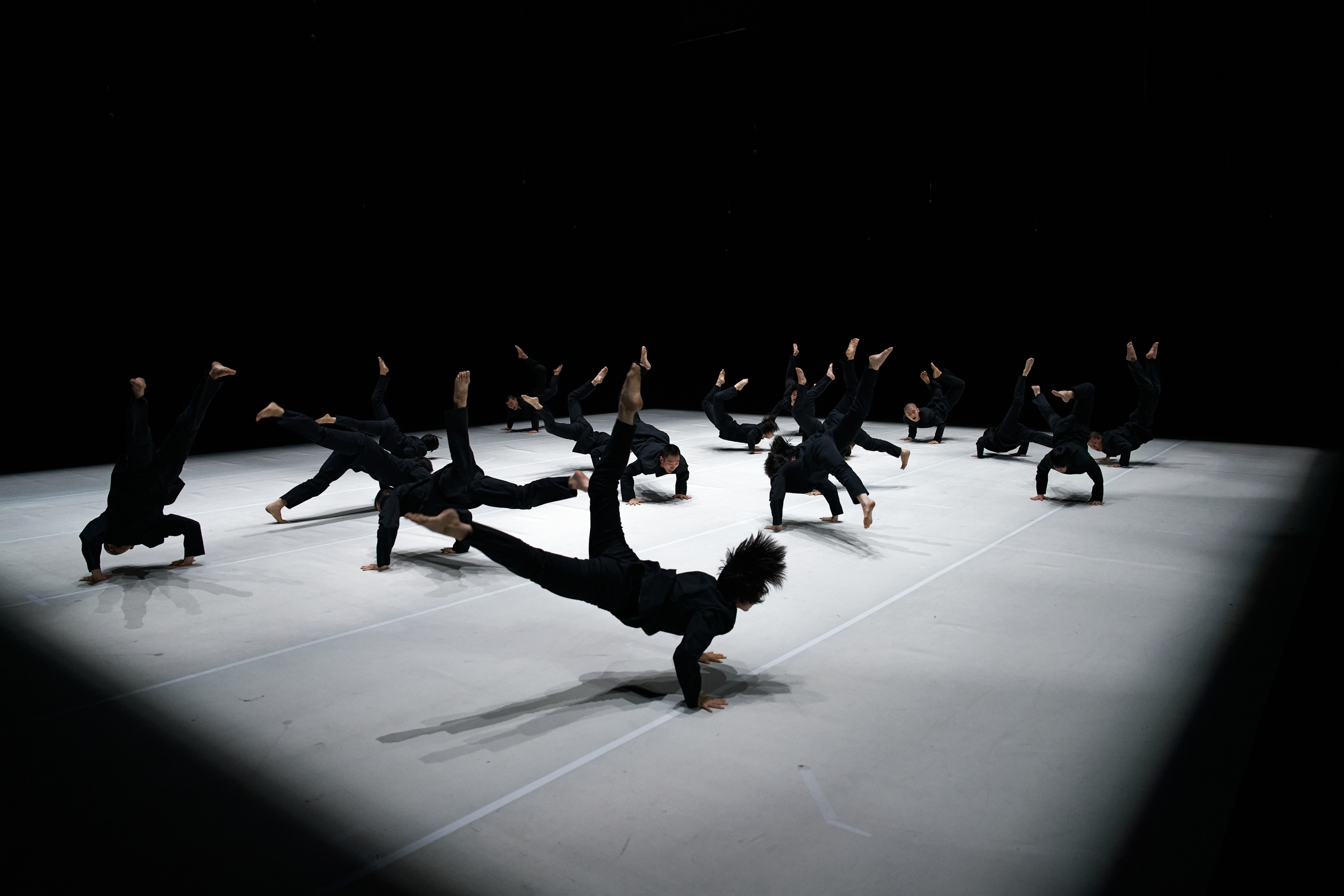 TAO Dance Theater, la compañía china que presentará sus montajes '16' y '17', en el FIAV 2026.