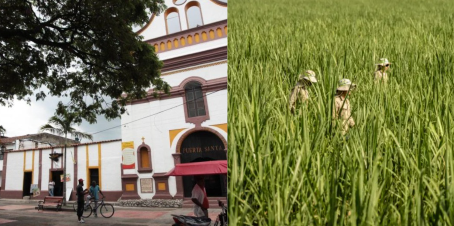 Municipio de Florida y cultivos de caña en el Valle.