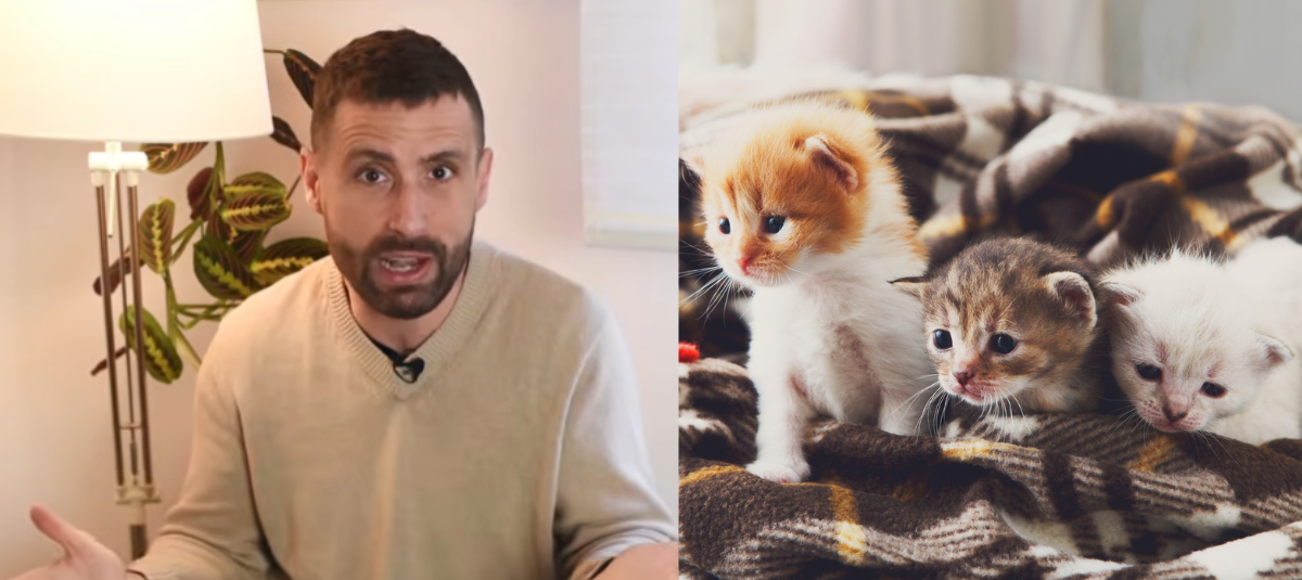 @MascotasyFamiliasFelices @iStock