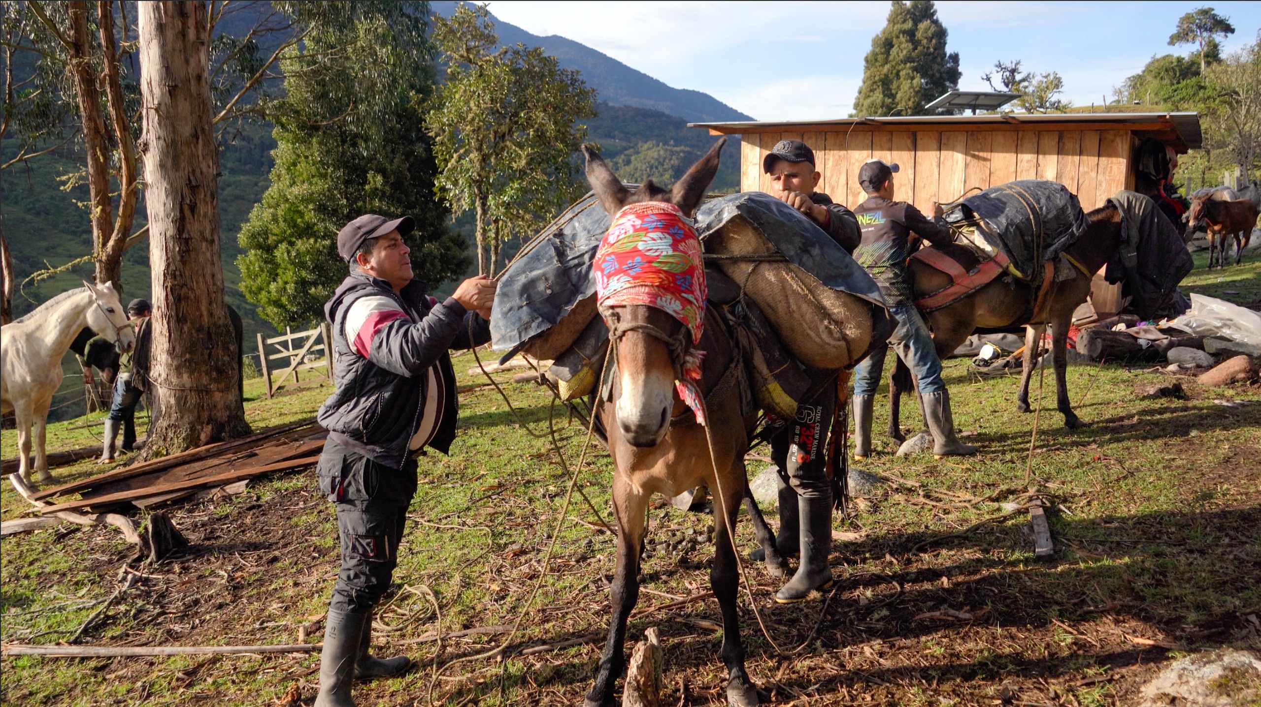 Daniel Fernando Lopéz | @daniel.lopfer - EL TIEMPO