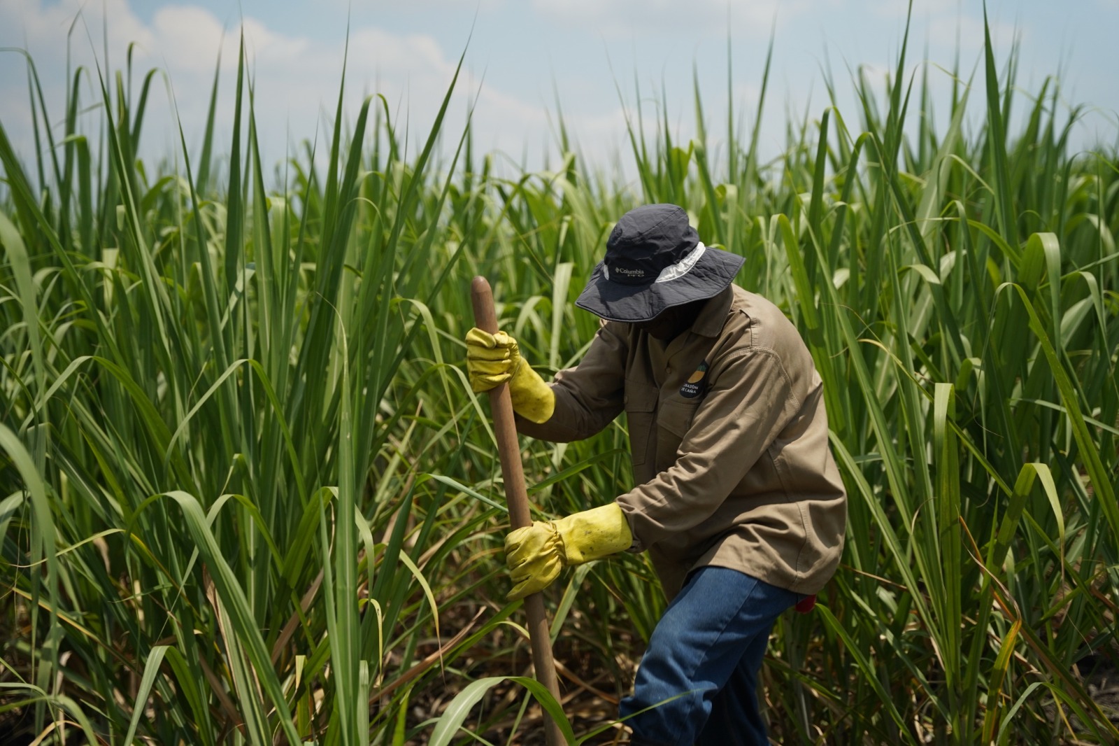 Alerta de Procaña sobre los avalúos catastrales del Igac.