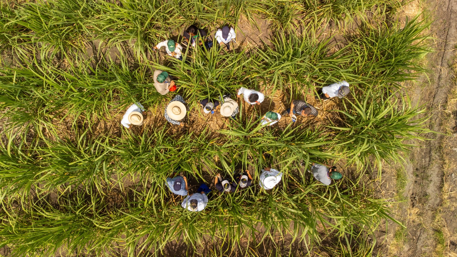 Alerta de Procaña sobre los avalúos catastrales del Igac.