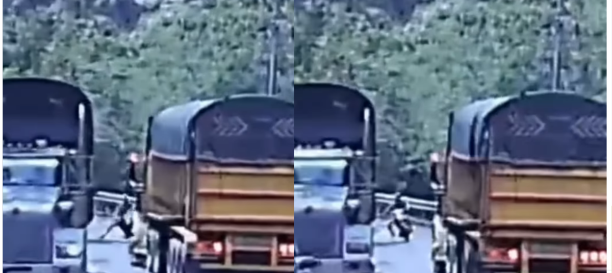 El hecho quedó registrado por una cámara vehicular.