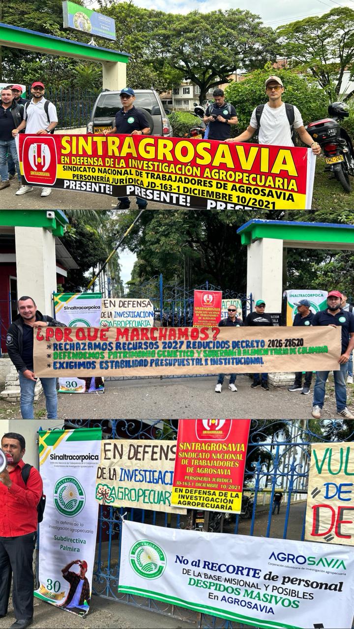 Protesta pacífica en Palmira.
