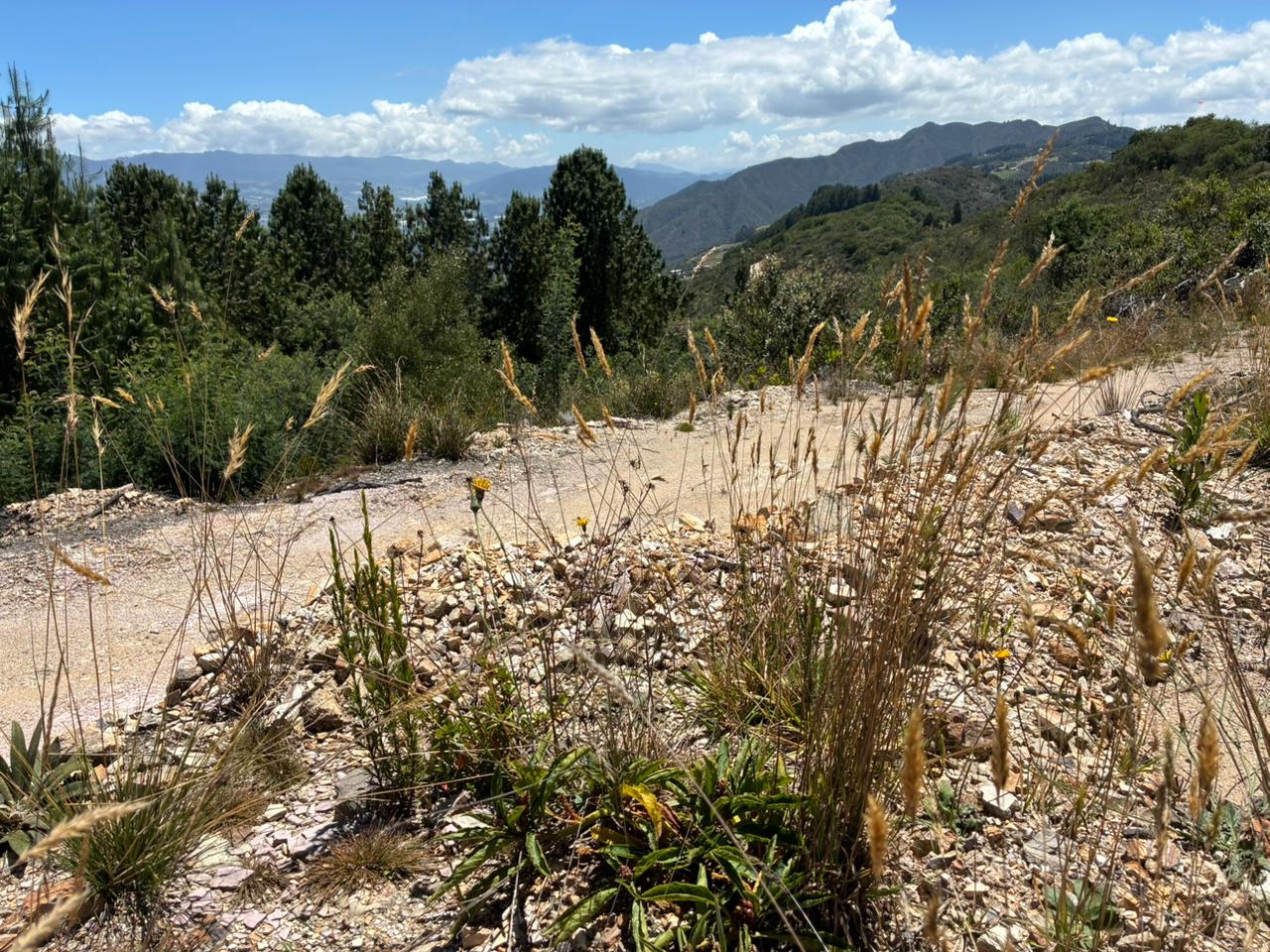 La CAR impuso una medida preventiva tras evidenciar minería ilegal en una montaña de Guatavita.