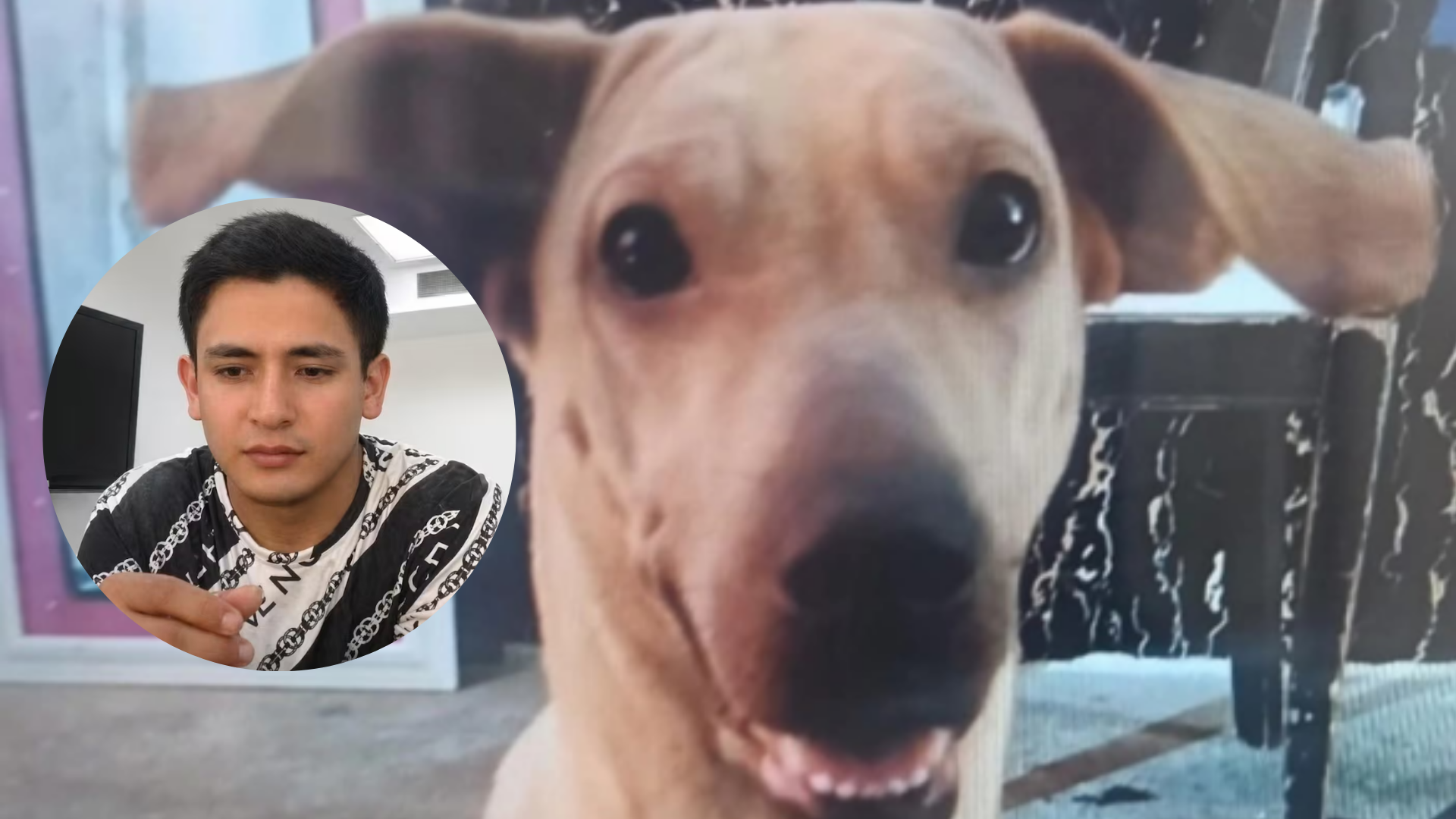 Kira y quien sería el presunto asesino